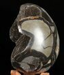 Septarian Dragon Egg Geode - Black Crystals #57459-2